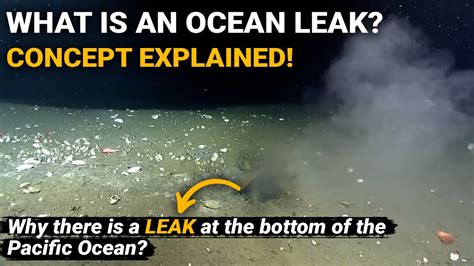 leak in pacific ocean|Scientists Discover Leak in the Bottom of the Ocean